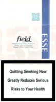 ESSE Super Slims Field 100`s Cigarettes 10 cartons