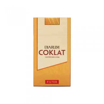 Djarum Coklat Filter cigarettes 10 cartons